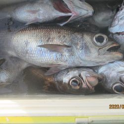 黒ムツ　釣れました(^_-)-☆