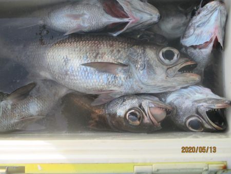 黒ムツ　釣れました(^_-)-☆