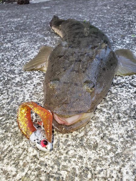 朝まずめの外道