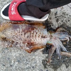 久しぶりのキロアップ!