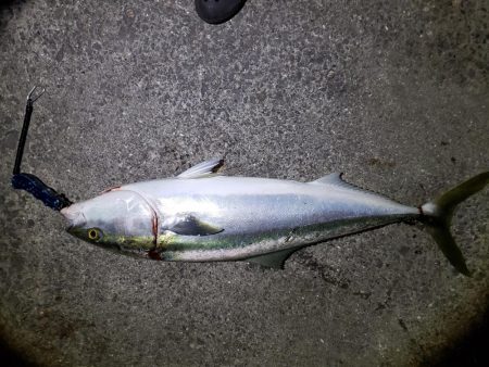 後２センチほしかった！