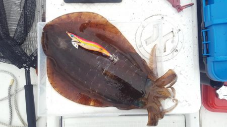 久々マイボートエギング