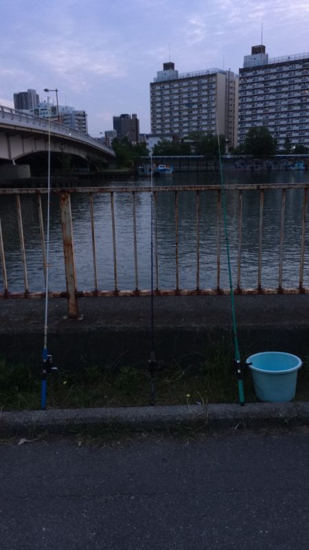 淀川のウナギ釣りパート6