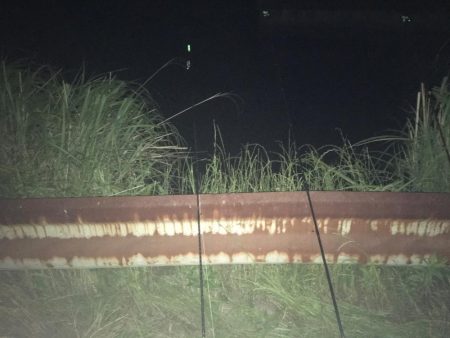 ウナギ〜パート3