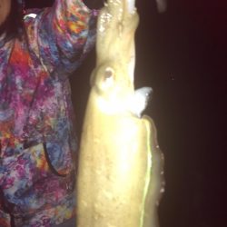 福井で初めての投稿