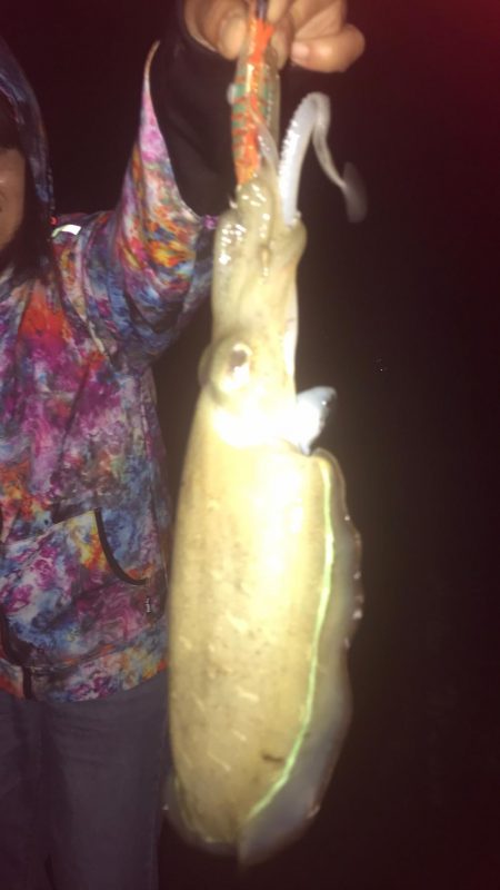 福井で初めての投稿