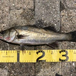 自粛解禁、しかし