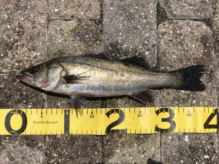 自粛解禁、しかし