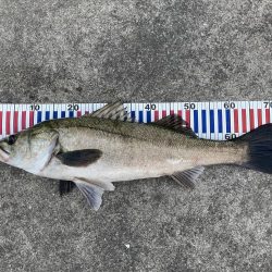 自粛明けのご褒美！