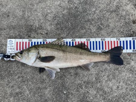 自粛明けのご褒美！