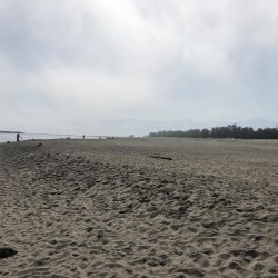 サーフフィッシング