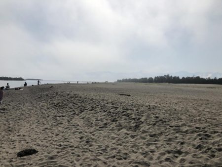 サーフフィッシング