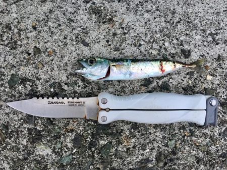 今年初❗️ 釣…