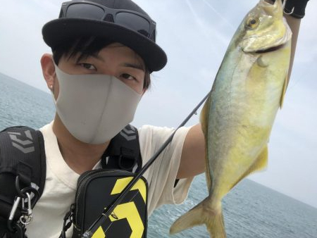 サーフフィッシングの釣果