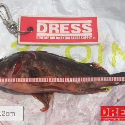 今年初青物❗️