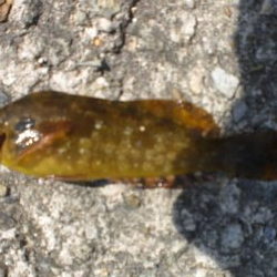 久しぶりの市役所裏