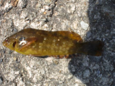 久しぶりの市役所裏