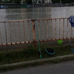 淀川のウナギ  パート2