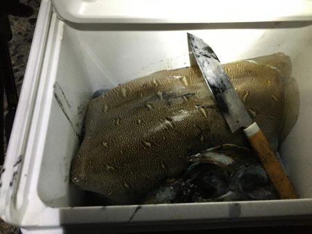 モンゴウイカ　1500g