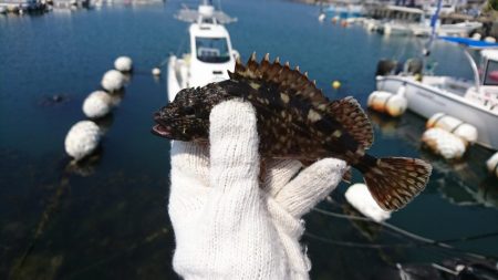久しぶりの穴釣り