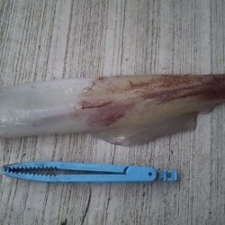 大剣とギガアジ