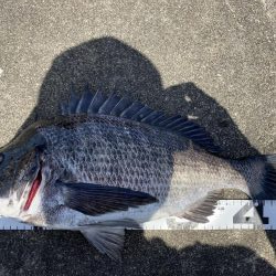 イチノ兄弟、釣果！