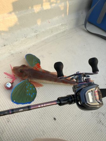 オフショア釣果報告