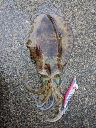 キロアップならず