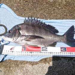 自粛明け初釣行