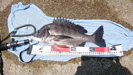 自粛明け初釣行