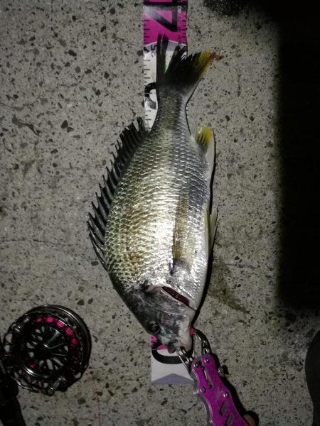 南港へち釣行（2020/05/24 南港ヘ…