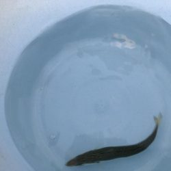 久々で楽しいっす！