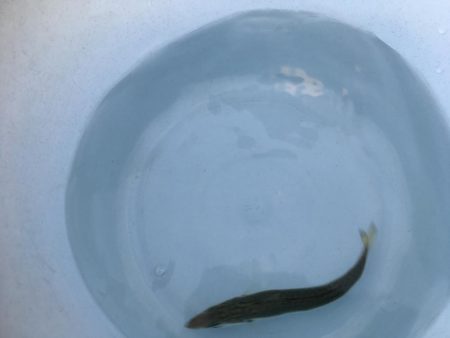 久々で楽しいっす！