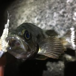 粘り強くやりました！