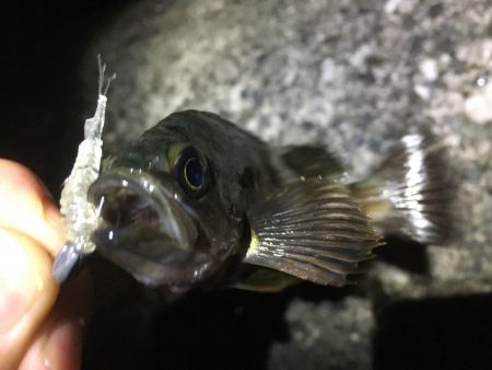 粘り強くやりました！