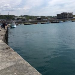 コサバ200匹、キス7匹