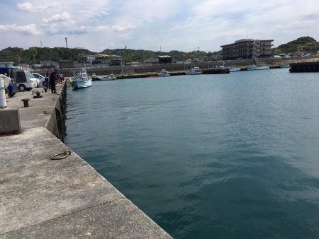 コサバ200匹、キス7匹