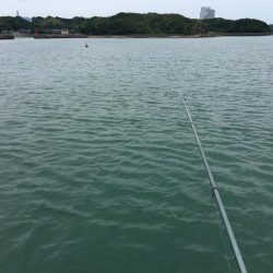 真鯛、良型アジ（28㎝）