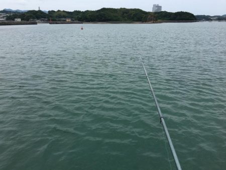 真鯛、良型アジ（28㎝）