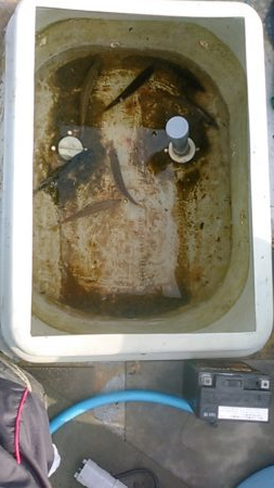 船サビキ釣りでアジ狙い