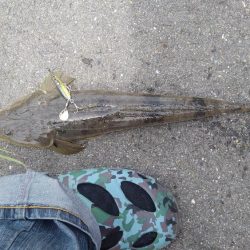 しばらく通おうかなぁ？