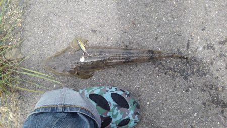 しばらく通おうかなぁ？