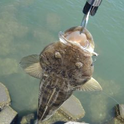 サイズアップ♪