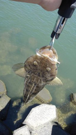 サイズアップ♪