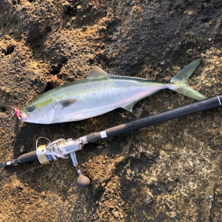 佐渡　ライトショアジギング！