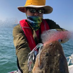 Magic（マジック） 釣果