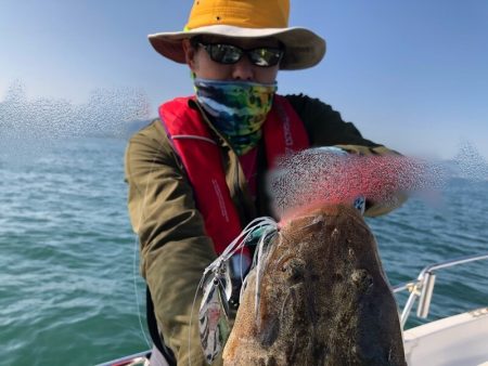 Magic（マジック） 釣果