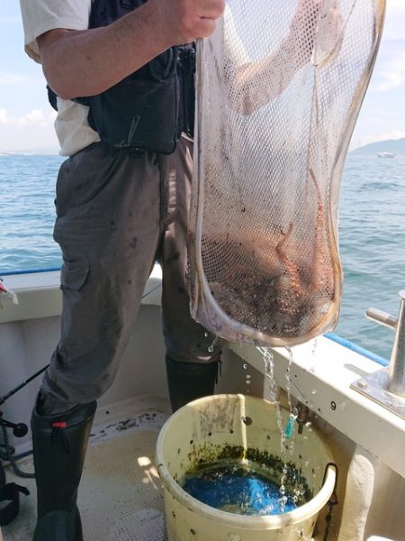 たかみ丸 釣果