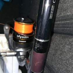 脂のってるアジ