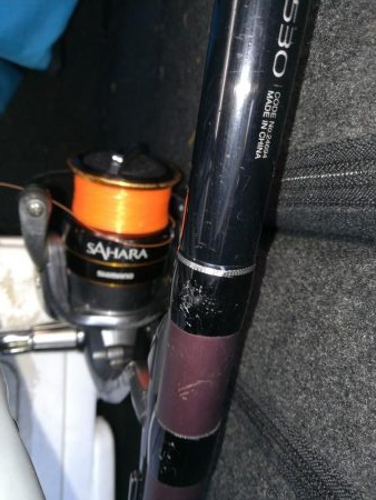 脂のってるアジ